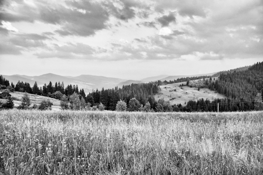 DSC_0035-Modifier