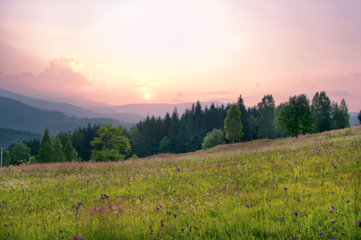 DSC_0041-Modifier