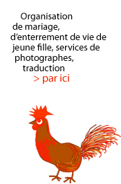 organisation de mariage, enterrement de vie de jeune fille, services de photographes
