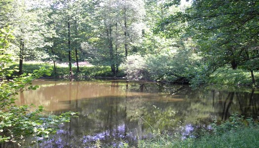 Le musée Pirogovo