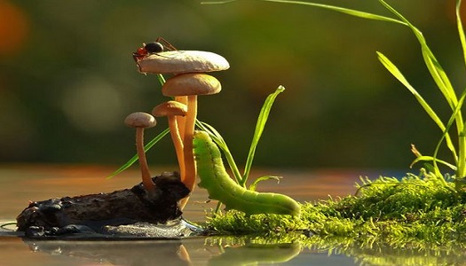 rencontre
