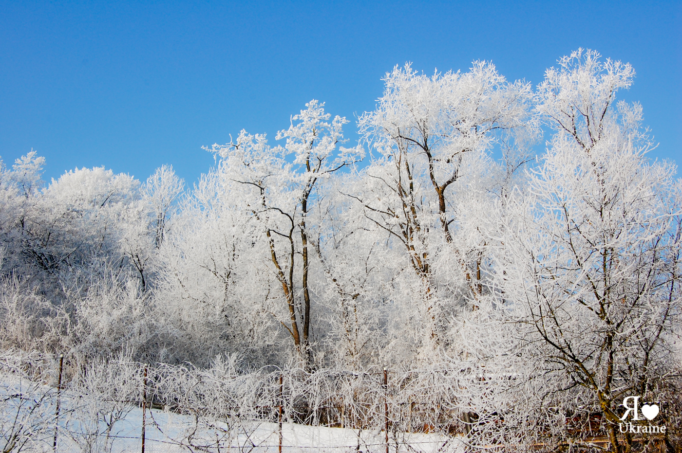 paysages-neige-ukraine-3